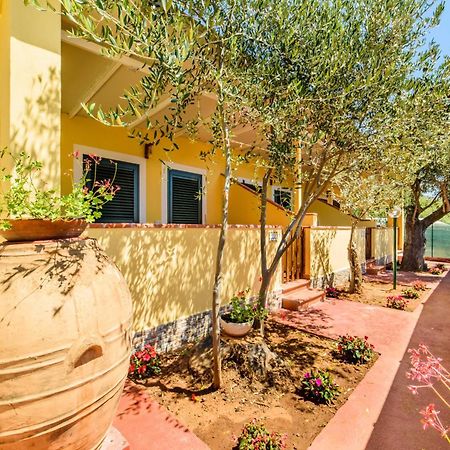 Villaggio Residence Pietra Grigia Marina di Camerota Εξωτερικό φωτογραφία