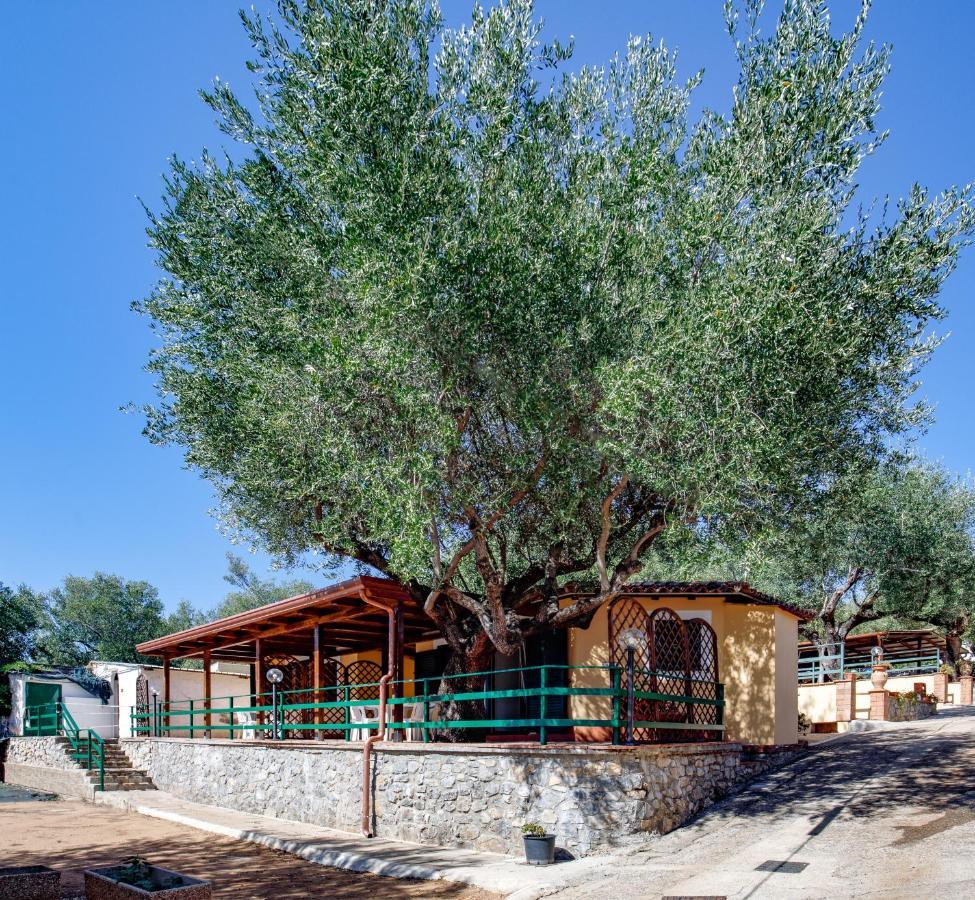 Villaggio Residence Pietra Grigia Marina di Camerota Εξωτερικό φωτογραφία